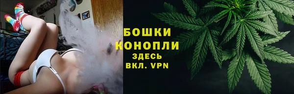 трава Балахна