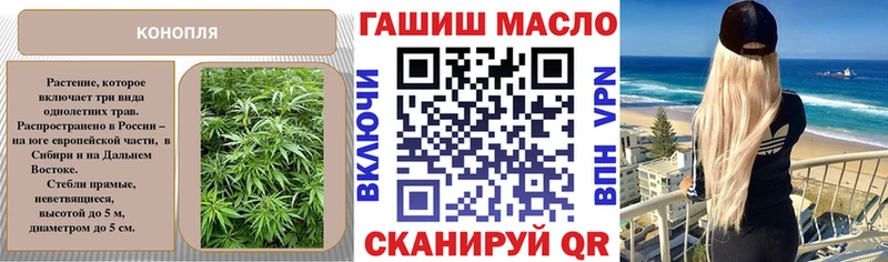 МЕГА как зайти  купить наркотик  это клад  ТГК гашишное масло  Цоци-Юрт 