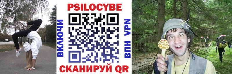 мега ссылка Цоци-Юрт Псилоцибиновые грибы ЛСД
